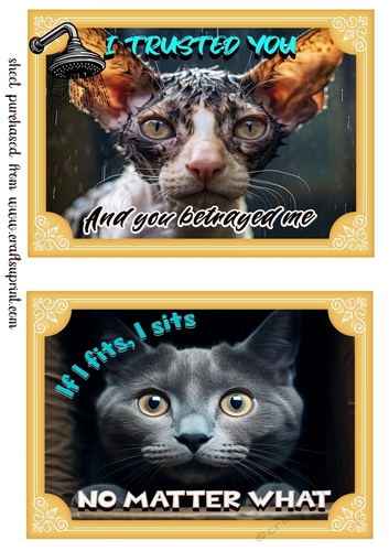 2 What does the cat say card fronts (7x5 aprox) 6