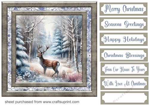 Winter forest card front 14