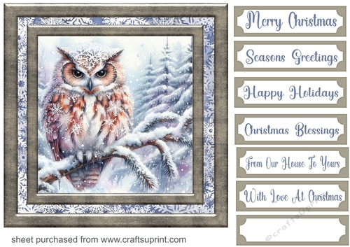 Winter forest card front 17