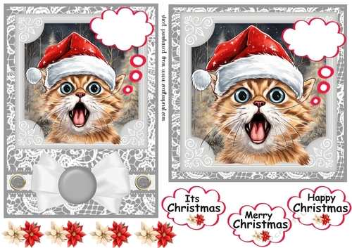 5x7 and 6x6 (aprox) Christmas cat card fronts