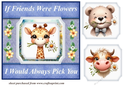 Daisy if friends were flowers card front 2