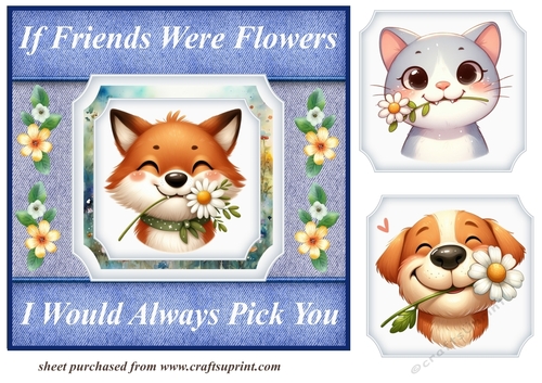 Daisy if friends were flowers card front 3