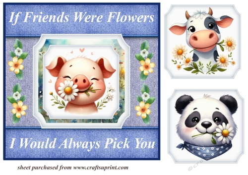 Daisy if friends were flowers card front 5