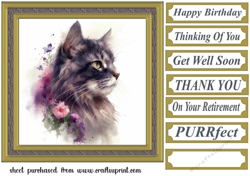Floral cat in frame card front 1