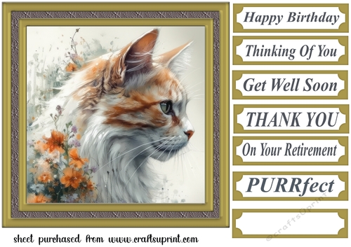 Floral cat in frame card front 2