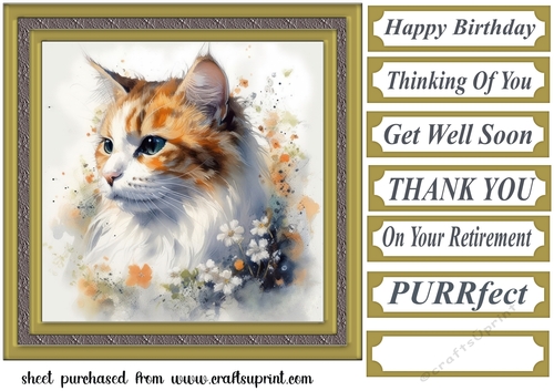 Floral cat in frame card front 4