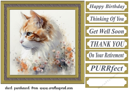 Floral cat in frame card front 5