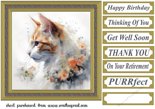 Floral cat in frame card front 6