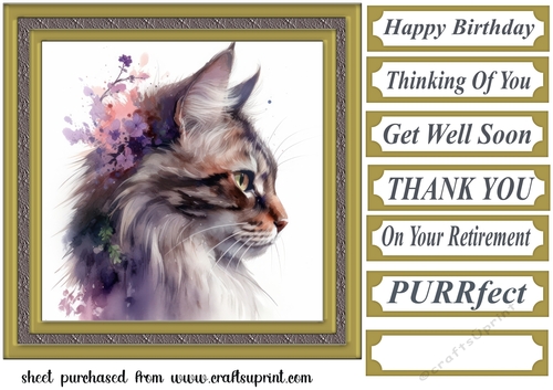 Floral cat in frame card front 7