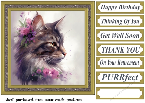 Floral cat in frame card front 8