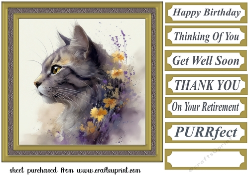 Floral cat in frame card front 9