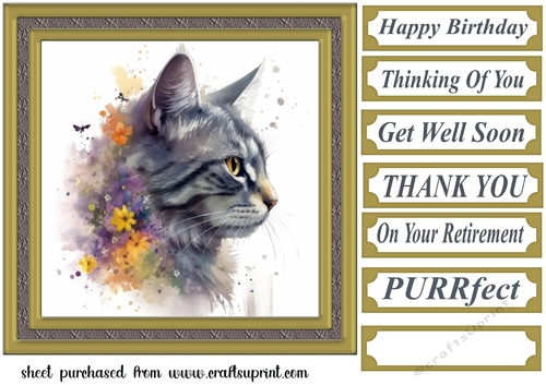 Floral cat in frame card front 11