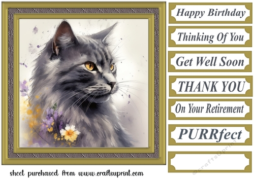 Floral cat in frame card front 12