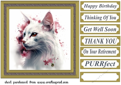Floral cat in frame card front 13