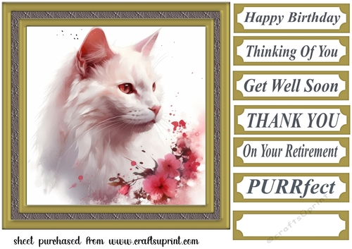 Floral cat in frame card front 14