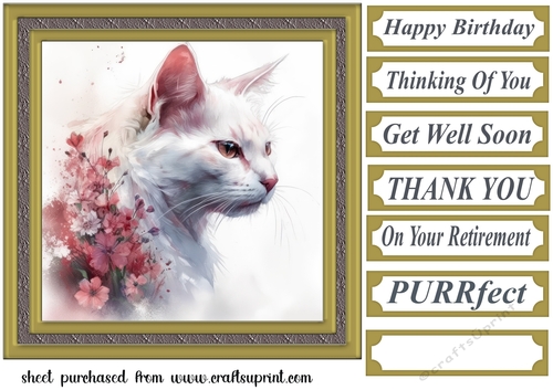 Floral cat in frame card front 15