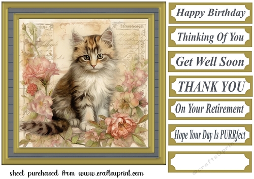 Framed floral cat card front (n2)
