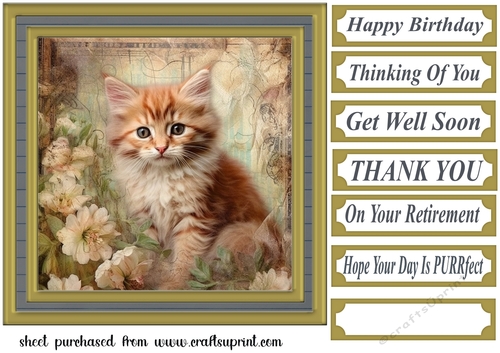 Framed floral cat card front (n4)