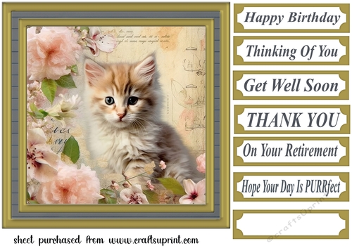Framed floral cat card front (n5)