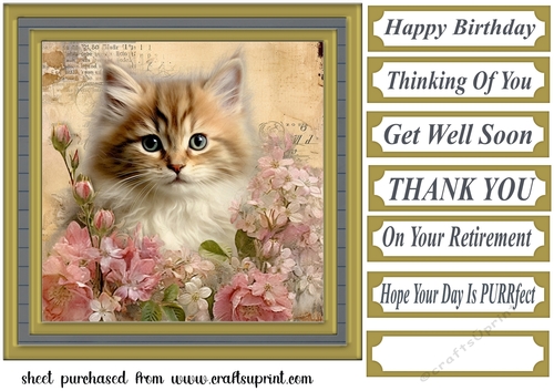 Framed floral cat card front (n8)