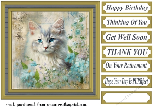 Framed floral cat card front (n10)