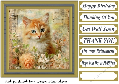 Framed floral cat card front (n11)
