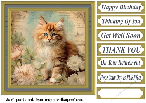 Framed floral cat card front (n12)