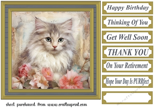Framed floral cat card front (n13)