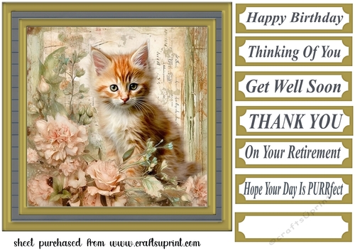 Framed floral cat card front (n14)