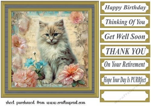 Framed floral cat card front (n15)