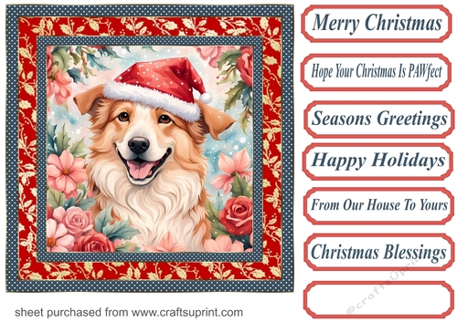Floral Christmas pup card front 6