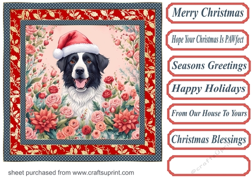 Floral Christmas pup card front 7