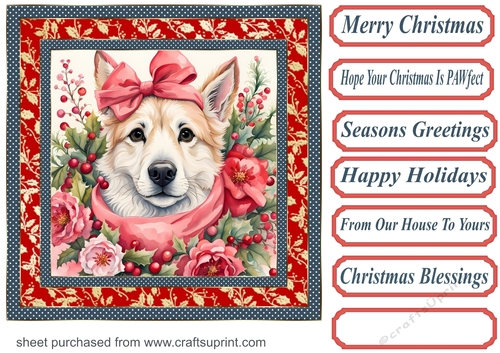 Floral Christmas pup card front 9