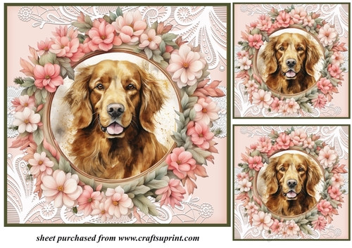 3 Floral frame Retriever card fronts/toppers 1