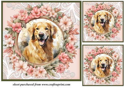 3 Floral frame Retriever card fronts/toppers 2