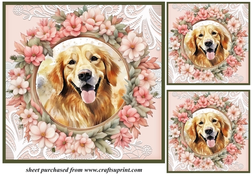 3 Floral frame Retriever card fronts/toppers 3