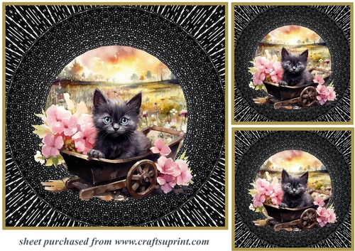 3 Floral wheel barrow kitty card fronts/toppers 4