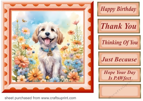 Framed floral pup card front 3