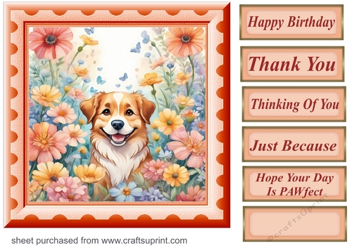 Framed floral pup card front 4