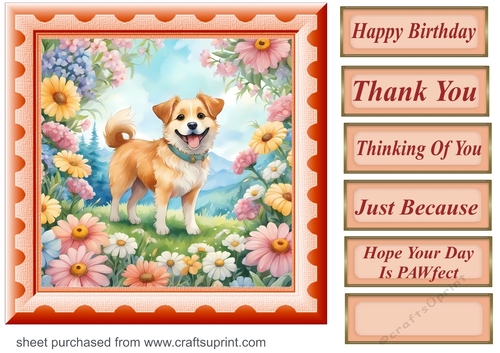 Framed floral pup card front 5