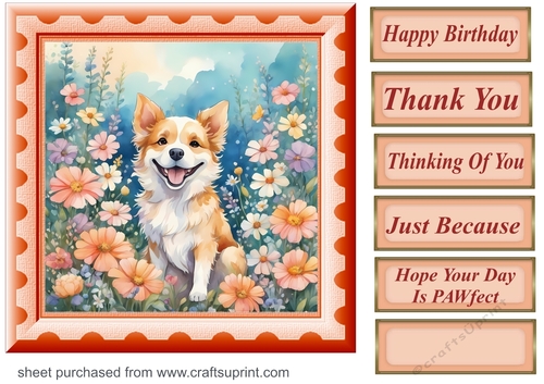 Framed floral pup card front 6