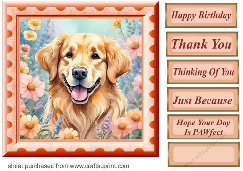 Framed floral pup card front 7