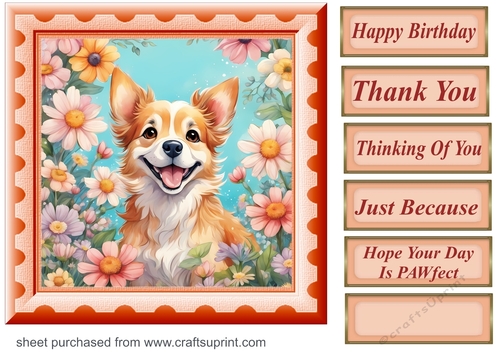 Framed floral pup card front 8