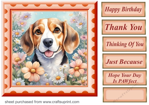 Framed floral pup card front 9
