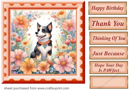 Framed floral pup card front 10