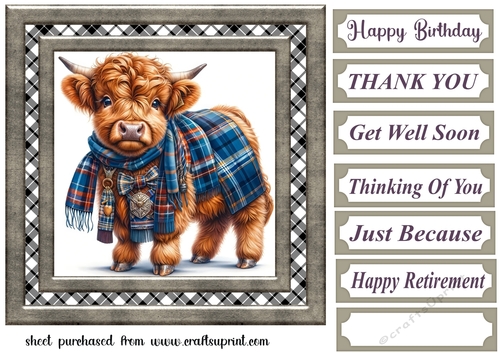 Tartan Highland cow card front 2