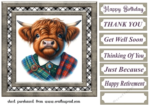 Tartan Highland cow card front 3