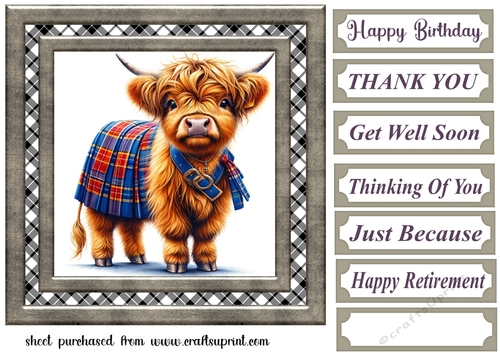 Tartan Highland cow card front 4