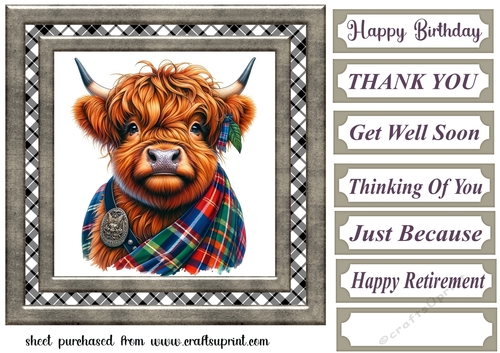 Tartan Highland cow card front 5