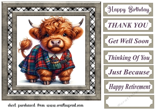 Tartan Highland cow card front 6
